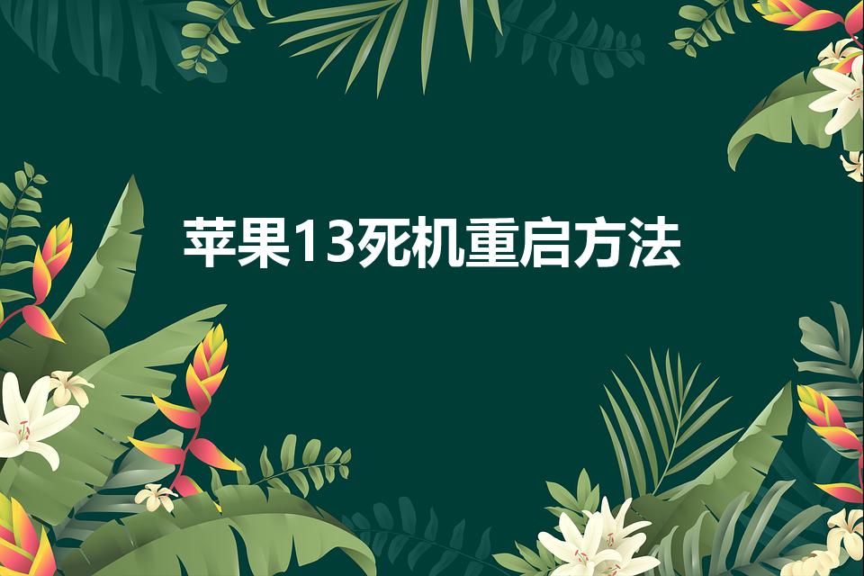 蘋果13死機重啟方法（蘋果13死機屏幕無反應怎么辦）