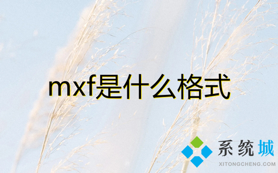 mxf是什么格式 mxf格式怎么打開