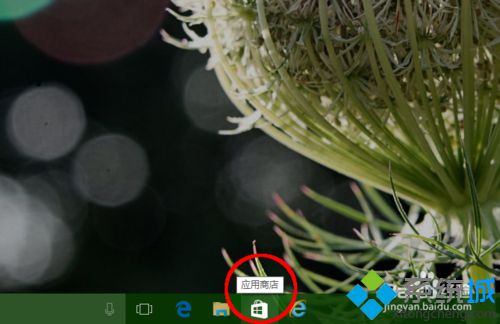 Windows10系統(tǒng)如何安裝帶有語音翻譯、拍照翻譯功能的軟件