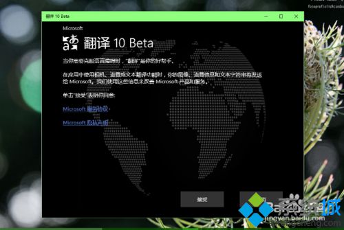 <a href=/win10/ target=_blank class=infotextkey>windows10</a>系統(tǒng)如何安裝帶有語音翻譯、拍照翻譯功能軟件的步驟8