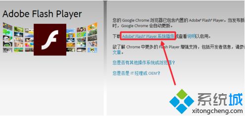 在电脑上如何升级Adobe Flash Player插件|电脑进行Flash Player更新的方法4