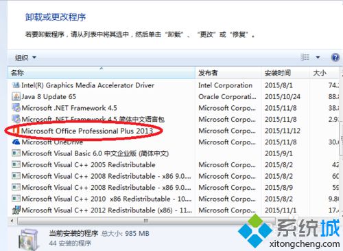 找到“Microsoft Office Professional Plus 2013”