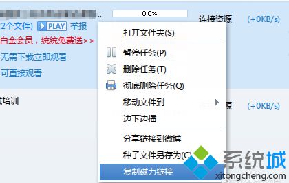 電腦使用迅雷下載bt文件顯示0速度怎么解決1