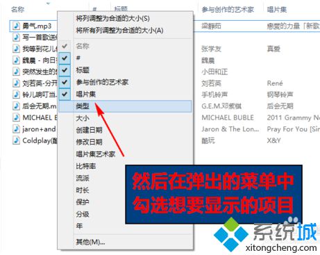 如何修改电脑中文件或文件夹显示的详细信息选项6