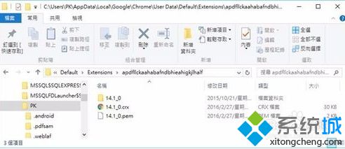 電腦中如何導出Chrome谷歌<a href=/softxz/llq/ target=_blank class=infotextkey>瀏覽器</a>安裝的擴展程序5