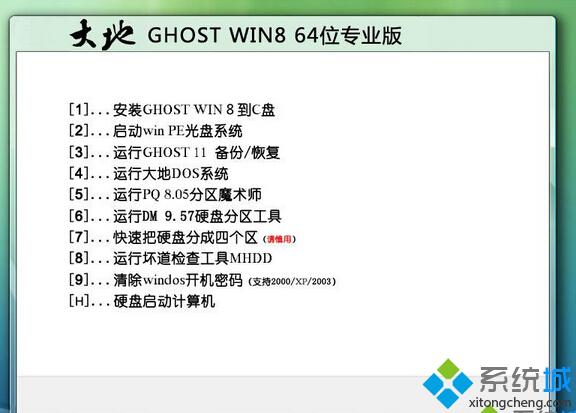 大地GHOST_WIN8_64位專業版