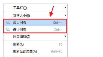 有“放大網(wǎng)頁(yè)”和“縮小網(wǎng)頁(yè)”