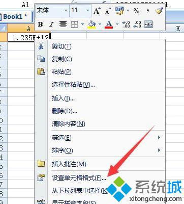 xp系統下Excel輸入長數字變成了亂碼的解決方法