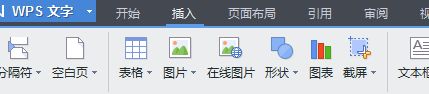 windowsxp系统下word文档如何添加大括号