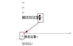 windowsxp系统下怎样去掉word文档脚注