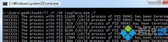 輸入代碼taskkill /F /IM iexplore.exe