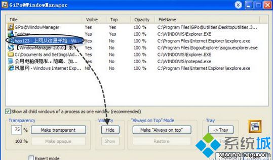 用軟件WindowManager把這些窗口隱藏