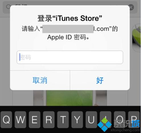 輸入 Apple ID 的密碼