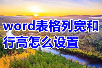 word表格列寬和行高怎么設置 word表格列寬和行高設置方法