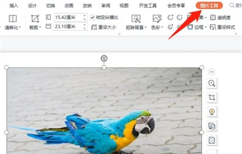 ppt怎么抠图 ppt如何抠图