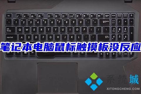 筆記本電腦鼠標觸摸板沒反應 筆記本觸摸板失靈的原因分析以及解決方法