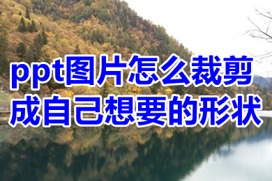 ppt圖片怎么裁剪成自己想要的形狀 ppt圖片怎么裁剪