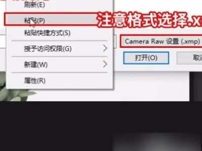 xmp是什么格式的文件 xmp格式文件用什么打開