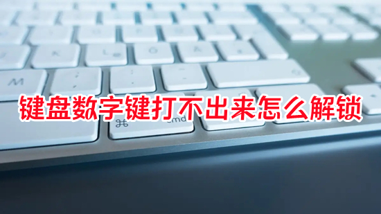 鍵盤數字鍵打不出來怎么解鎖 電腦數字鍵用不了應該按哪個鍵恢復